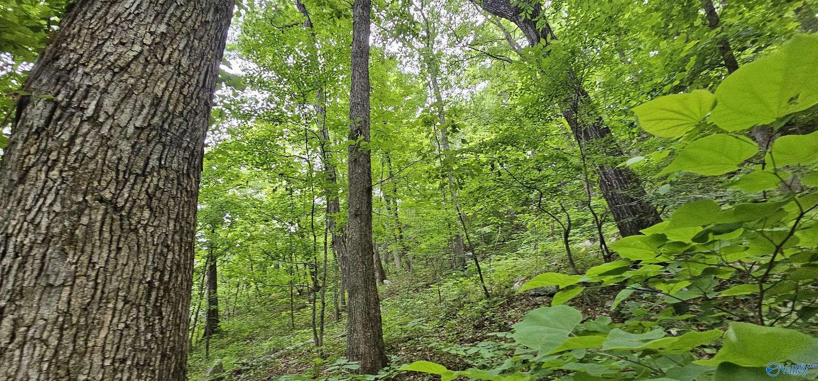 6 Acres of Land for Sale in Scottsboro, Alabama