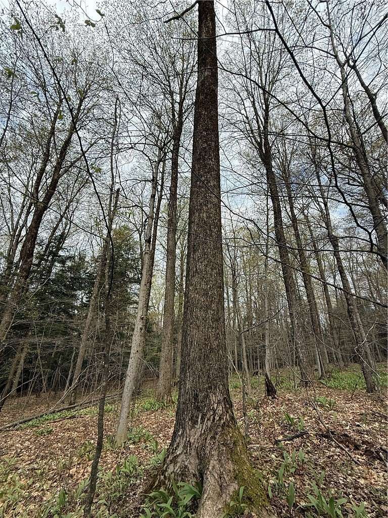 35 Acres of Recreational Land for Sale in West Winfield, New York
