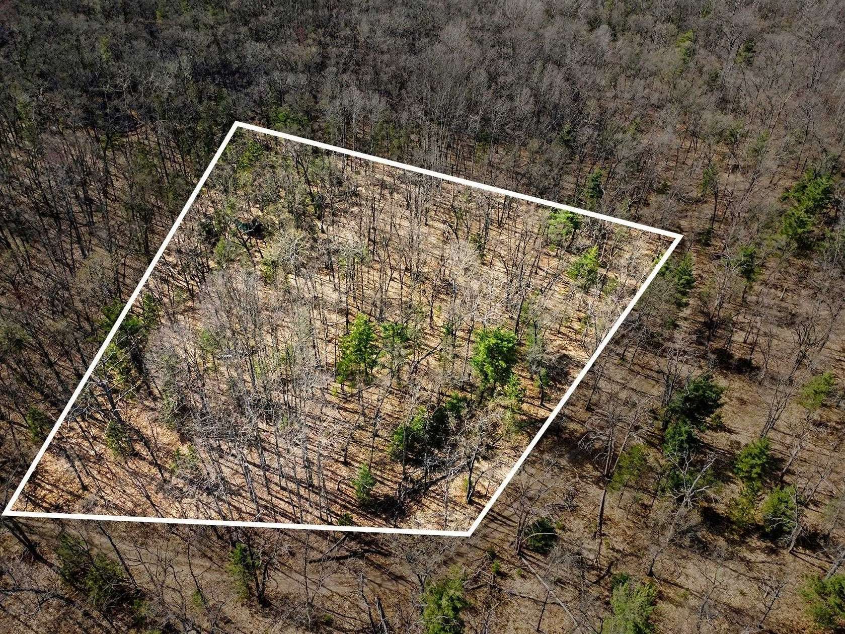 10 Acres of Recreational Land for Sale in Houghton Lake, Michigan