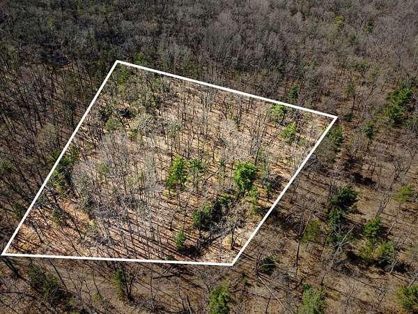 10 Acres of Recreational Land for Sale in Houghton Lake, Michigan