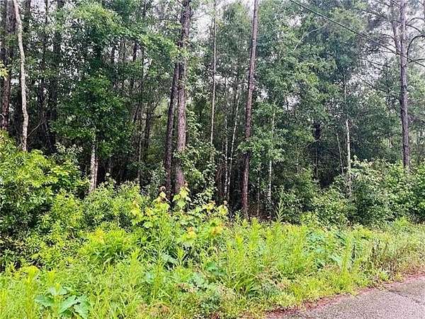0.32 Acres of Mixed-Use Land for Sale in Slidell, Louisiana