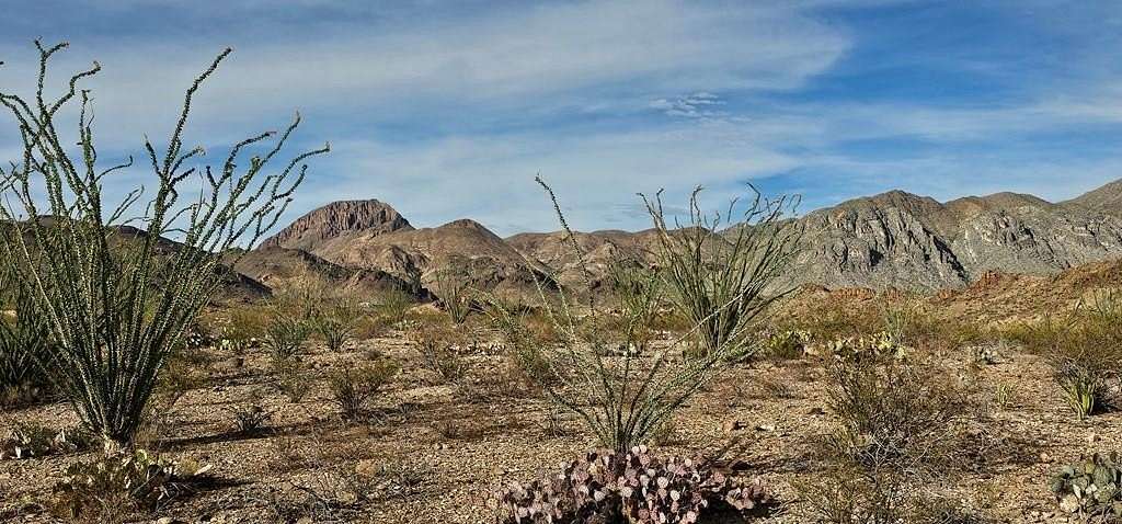 11.2 Acres of Land for Sale in Terlingua, Texas