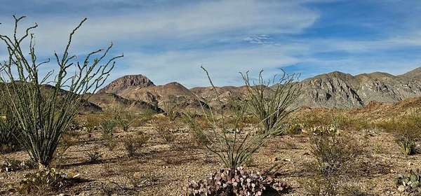 11.2 Acres of Land for Sale in Terlingua, Texas