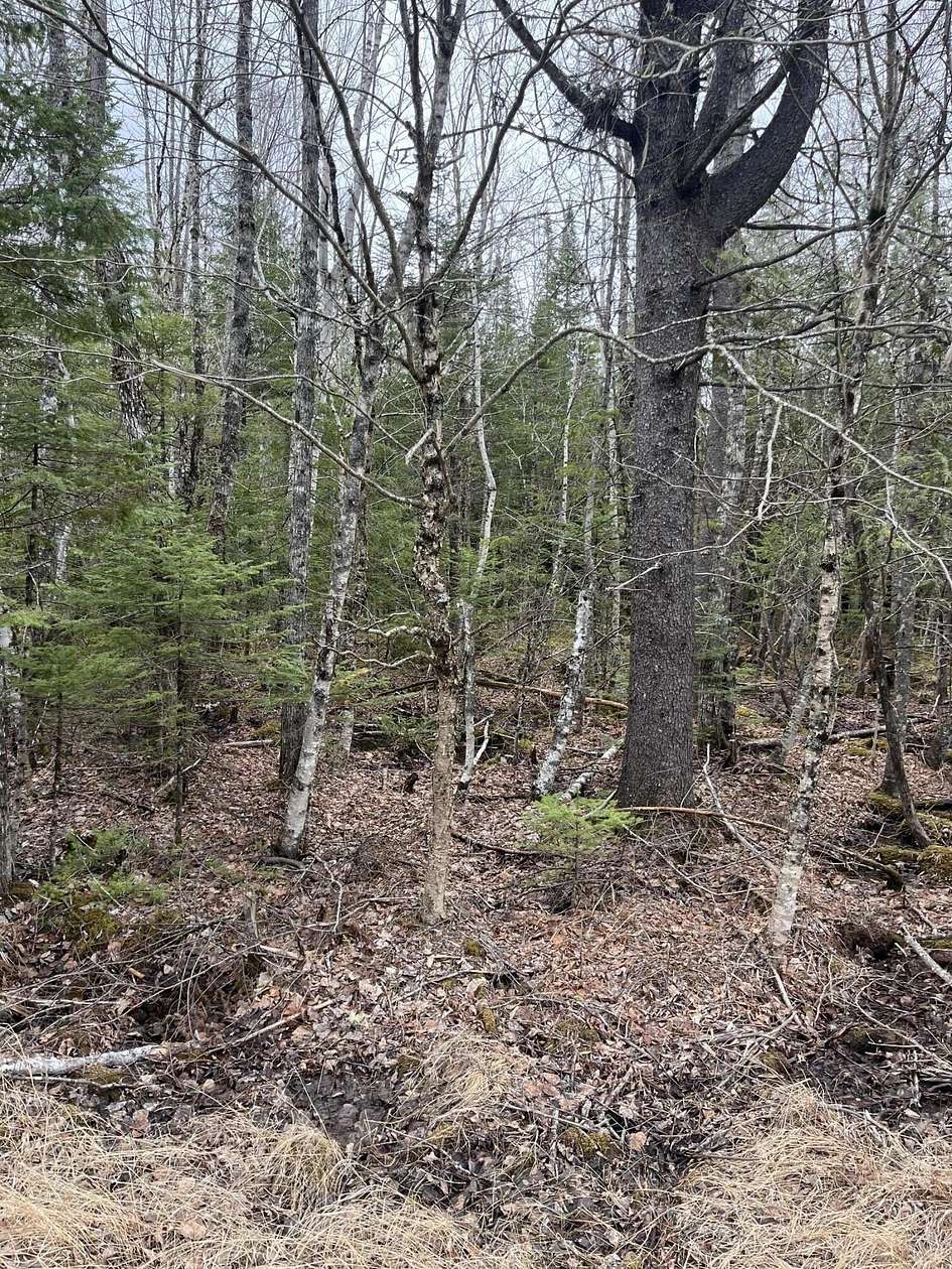 43 Acres of Recreational Land for Sale in Orient, Maine