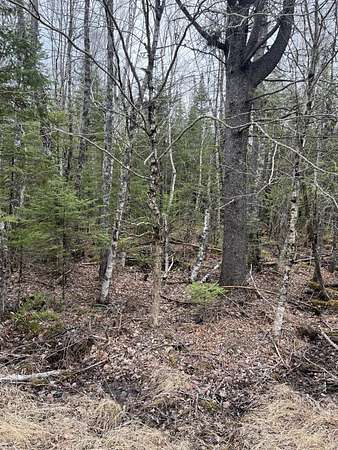 43 Acres of Recreational Land for Sale in Orient, Maine