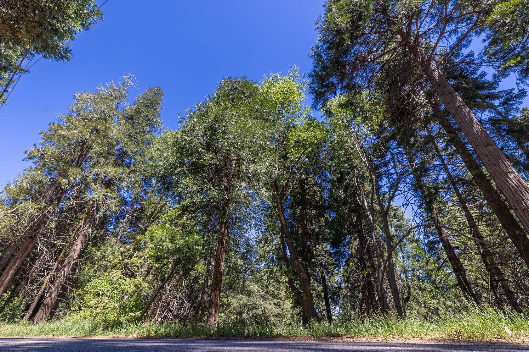 0.12 Acres of Land for Sale in Crestline, California