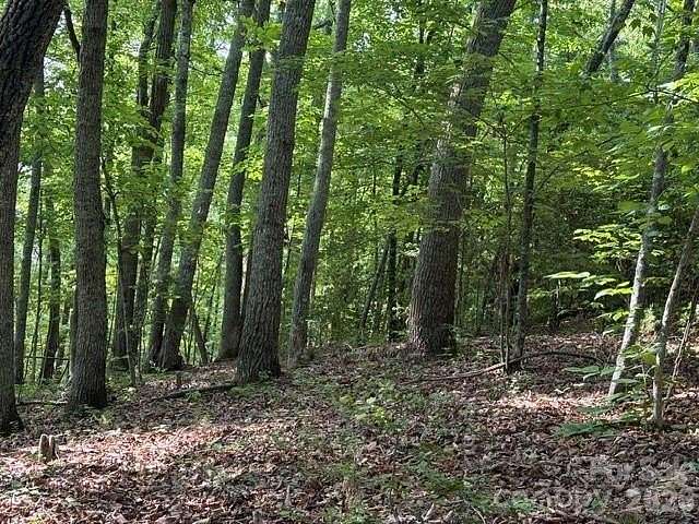 9.75 Acres of Residential Land for Sale in Ellenboro, North Carolina