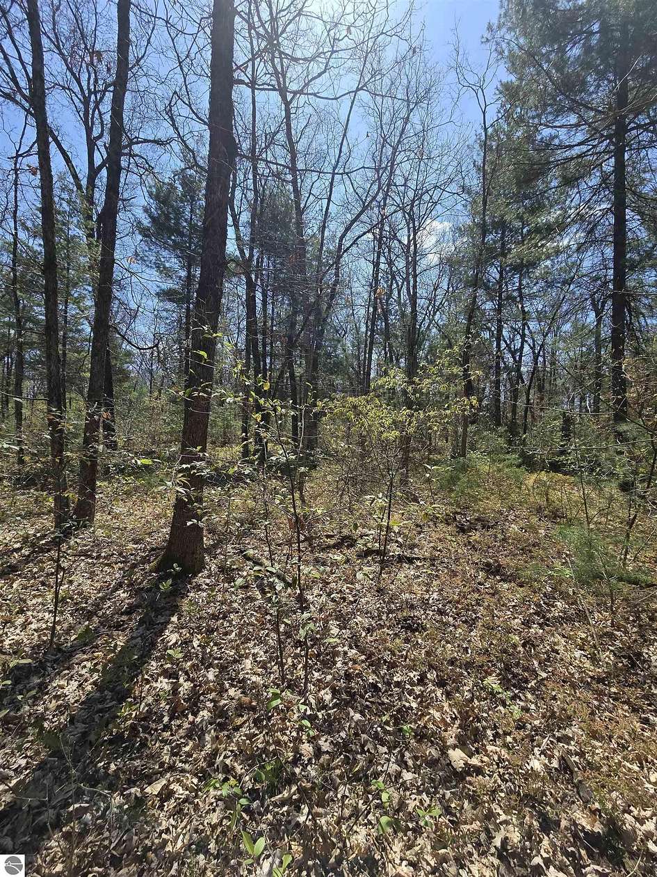 4.9 Acres of Residential Land for Sale in White Cloud, Michigan