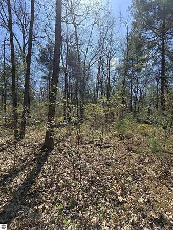 4.9 Acres of Residential Land for Sale in White Cloud, Michigan