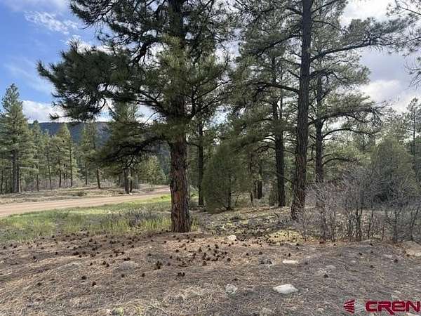 3.79 Acres of Land for Sale in Pagosa Springs, Colorado