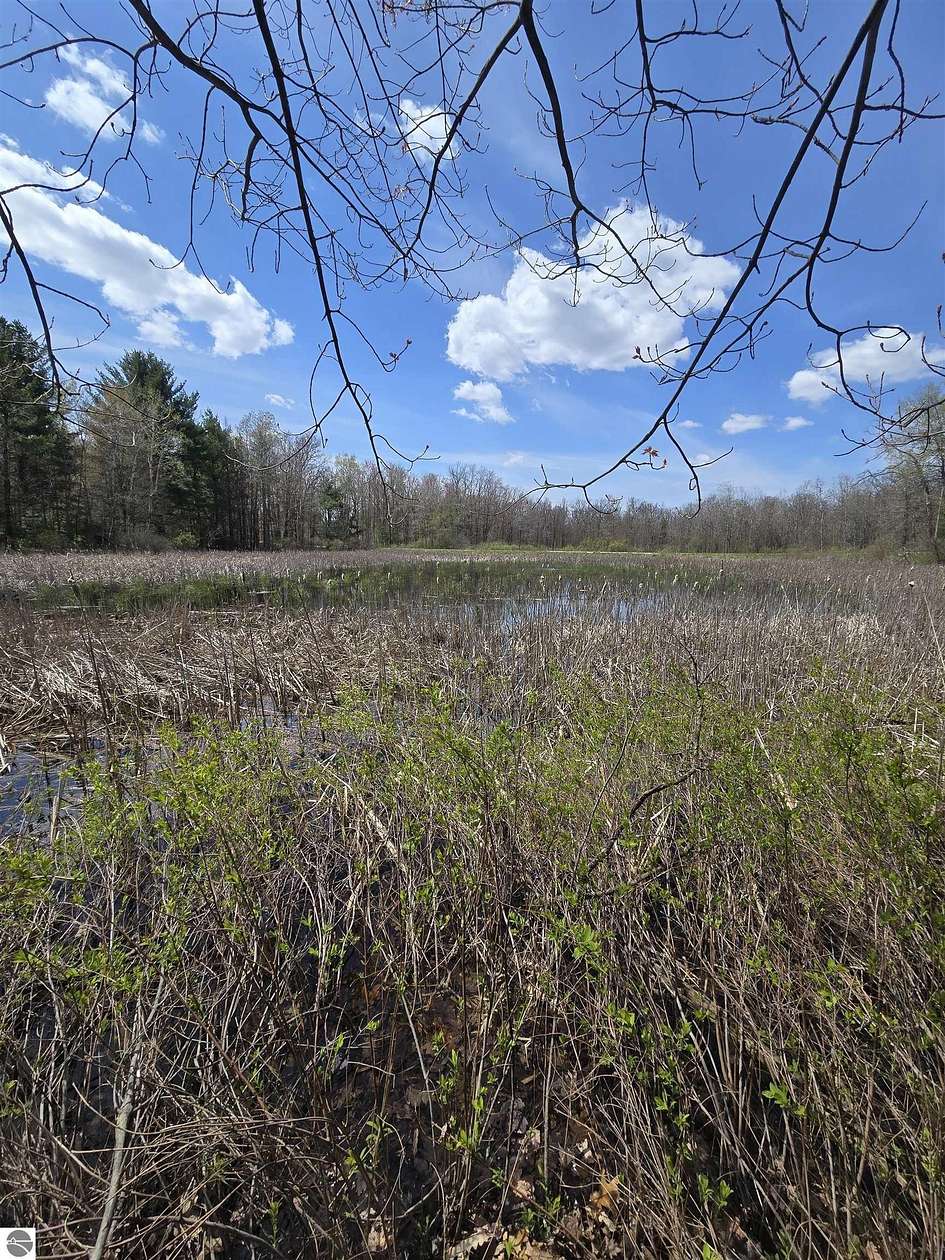 4.79 Acres of Residential Land for Sale in White Cloud, Michigan