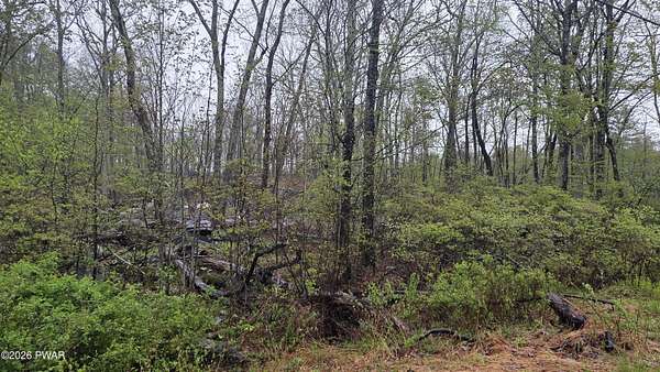 2.57 Acres of Residential Land for Sale in Hawley, Pennsylvania