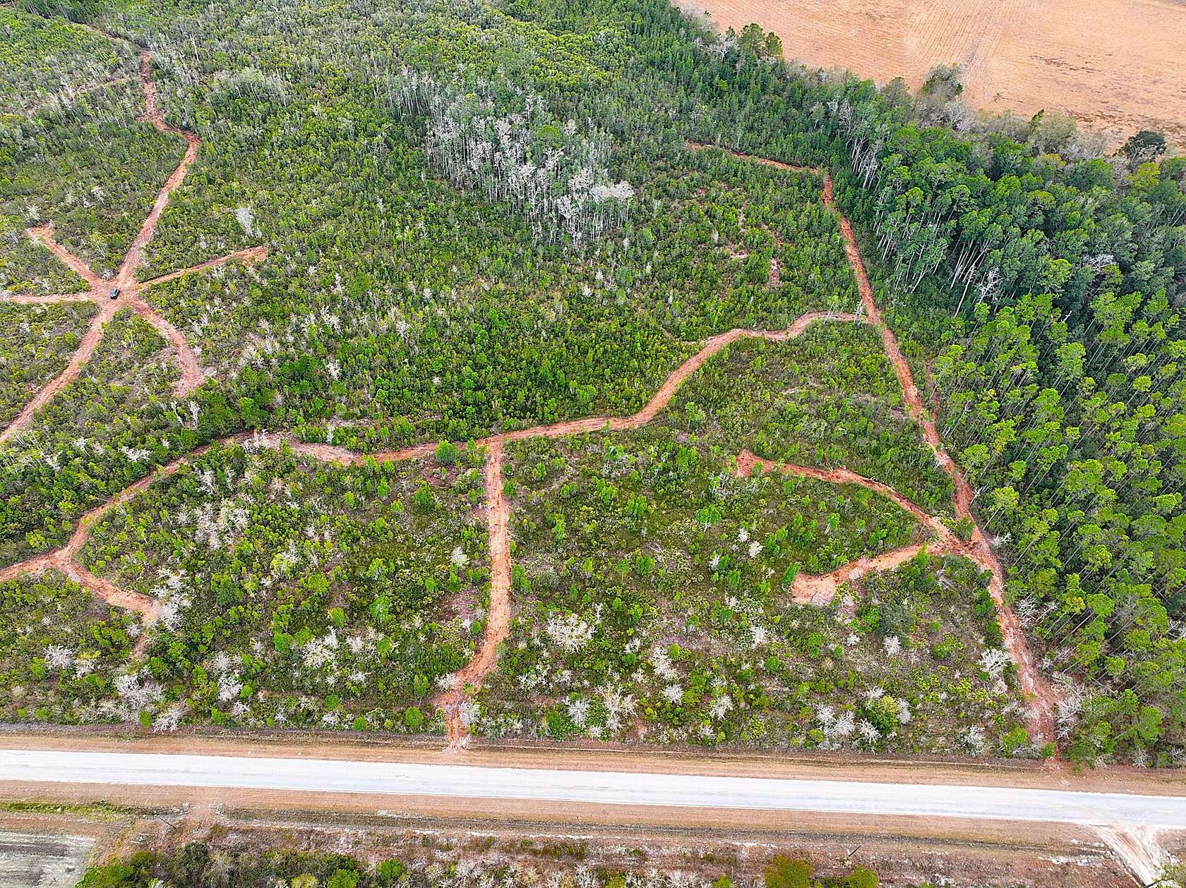 40 Acres of Recreational Land for Sale in Patterson, Georgia
