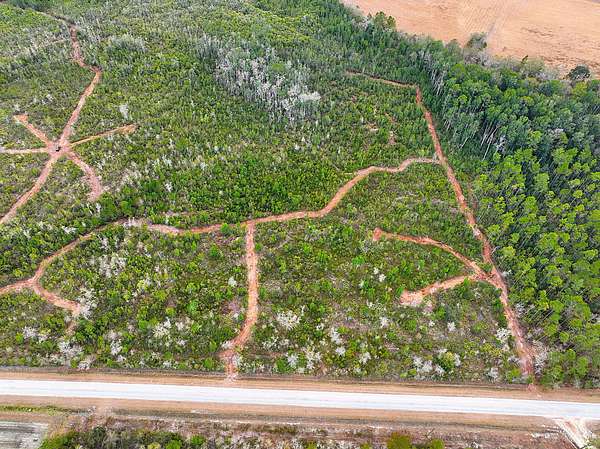 40 Acres of Recreational Land for Sale in Patterson, Georgia
