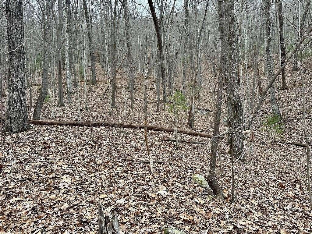 Residential Land for Sale in Murphy, North Carolina