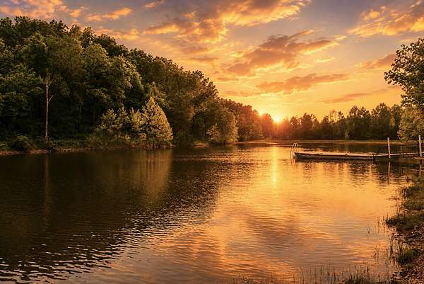 286 Acres of Land with Home for Sale in Niangua, Missouri