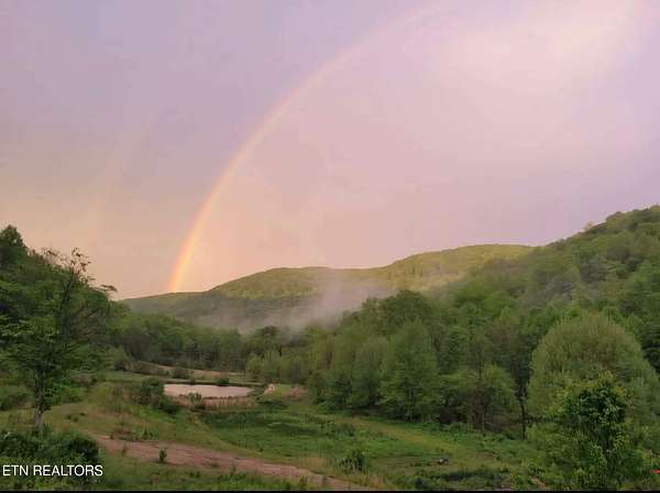 71.6 Acres of Recreational & Residential Land for Sale in Winfield, Tennessee