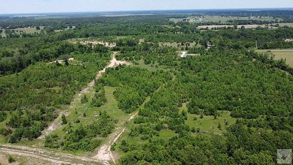16 Acres of Recreational & Residential Land for Sale in De Kalb, Texas