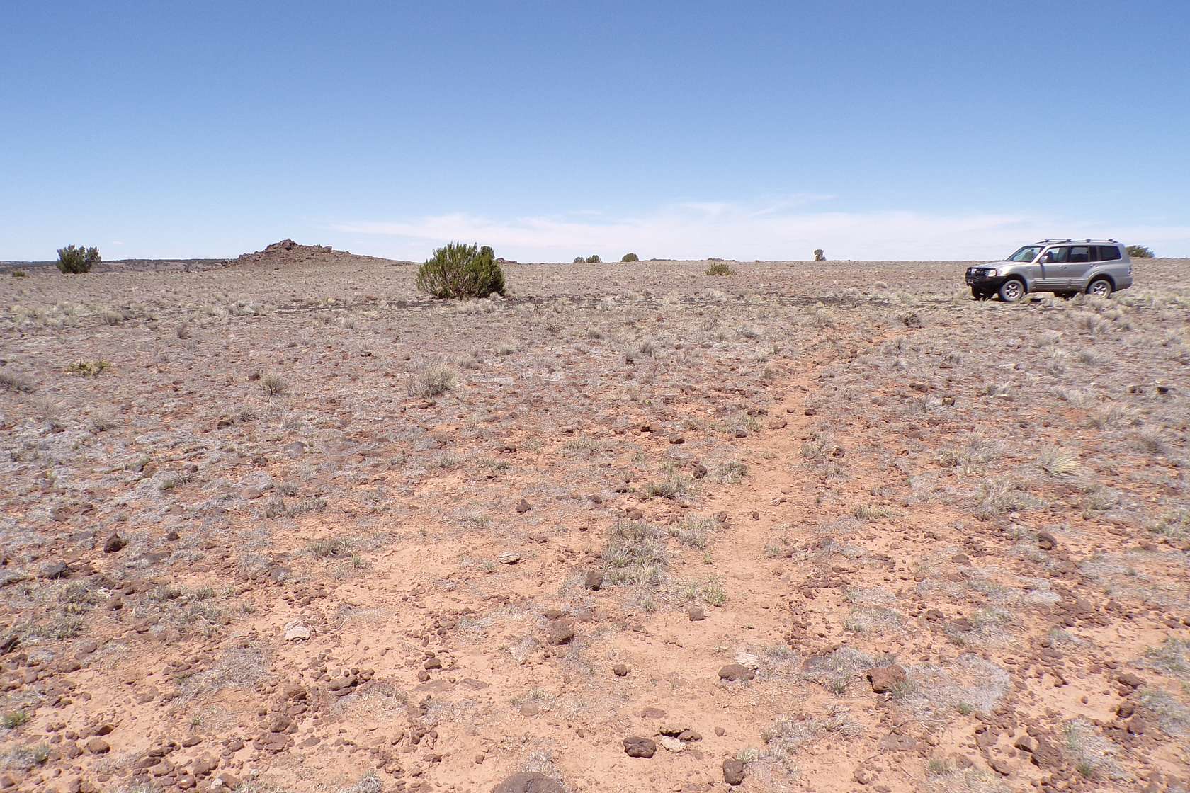 1 Acre of Residential Land for Sale in Concho, Arizona