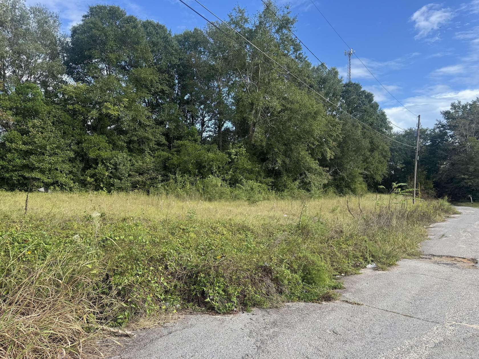 0.48 Acres of Residential Land for Sale in Waynesboro, Georgia