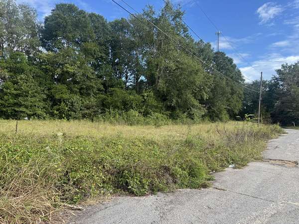 0.48 Acres of Residential Land for Sale in Waynesboro, Georgia