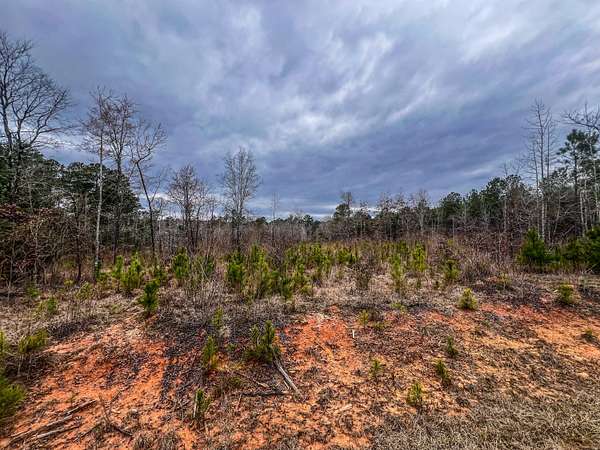 5.1 Acres of Residential Land for Sale in Lincolnton, Georgia