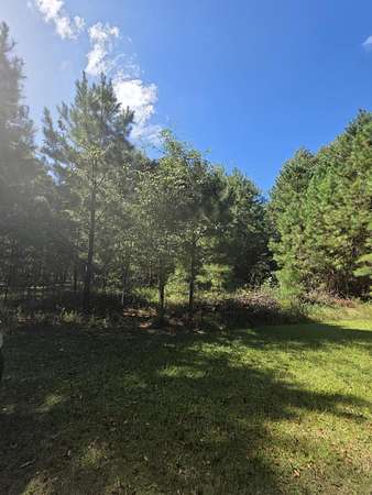 1.13 Acres of Residential Land for Sale in Perkins, Georgia