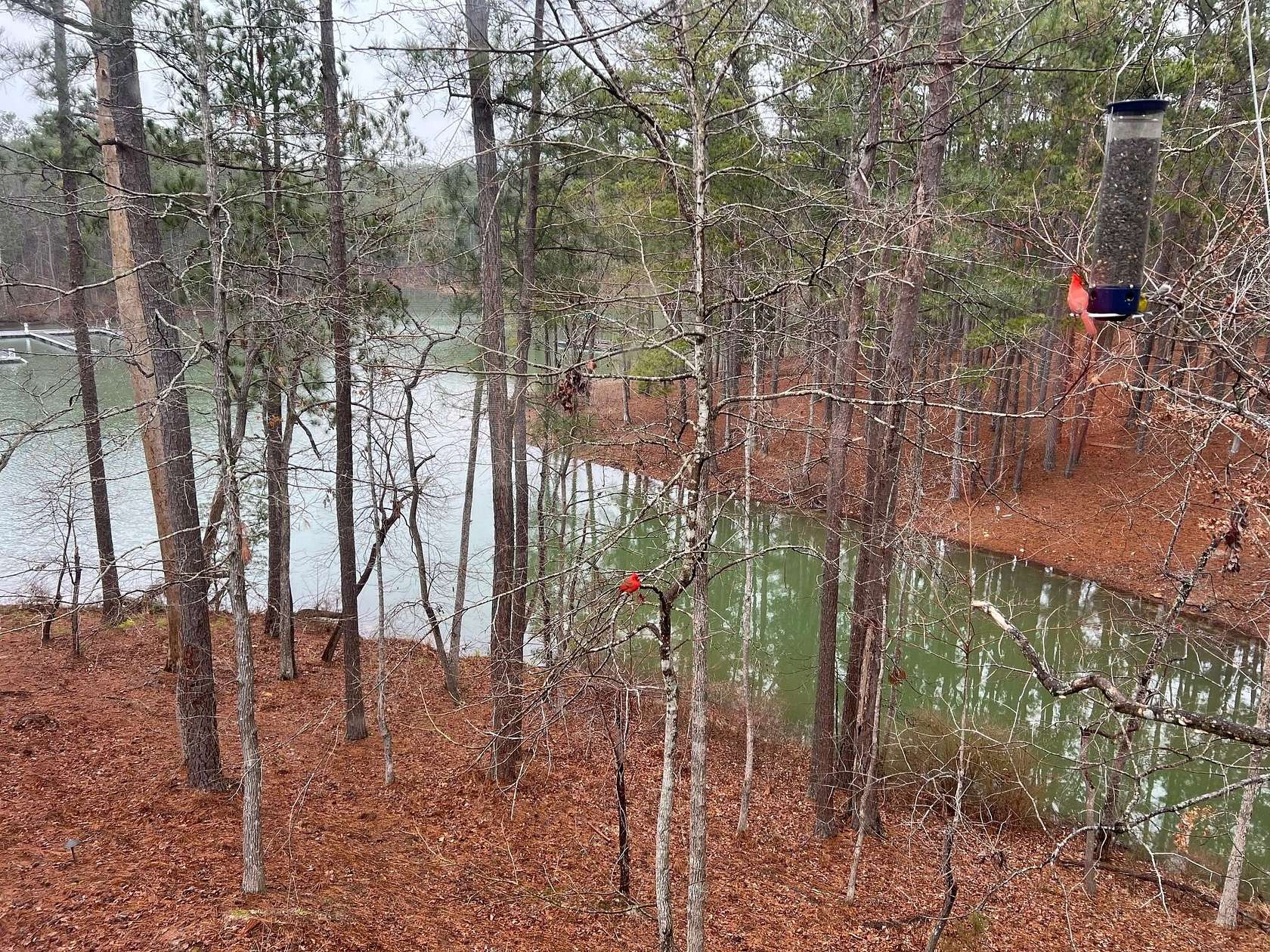 0.31 Acres of Land for Sale in McCormick, South Carolina