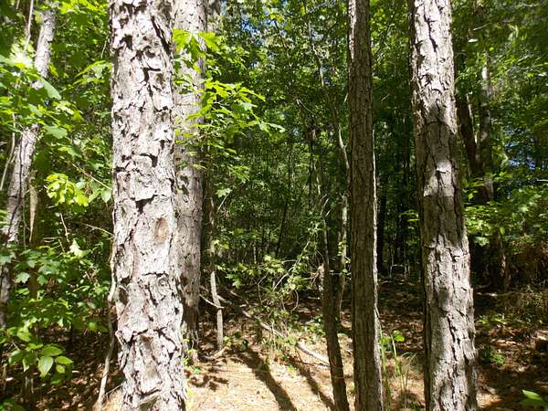 0.46 Acres of Land for Sale in Lincolnton, Georgia