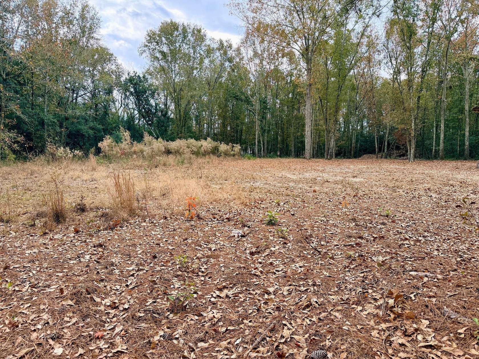 0.99 Acres of Residential Land for Sale in Aiken, South Carolina