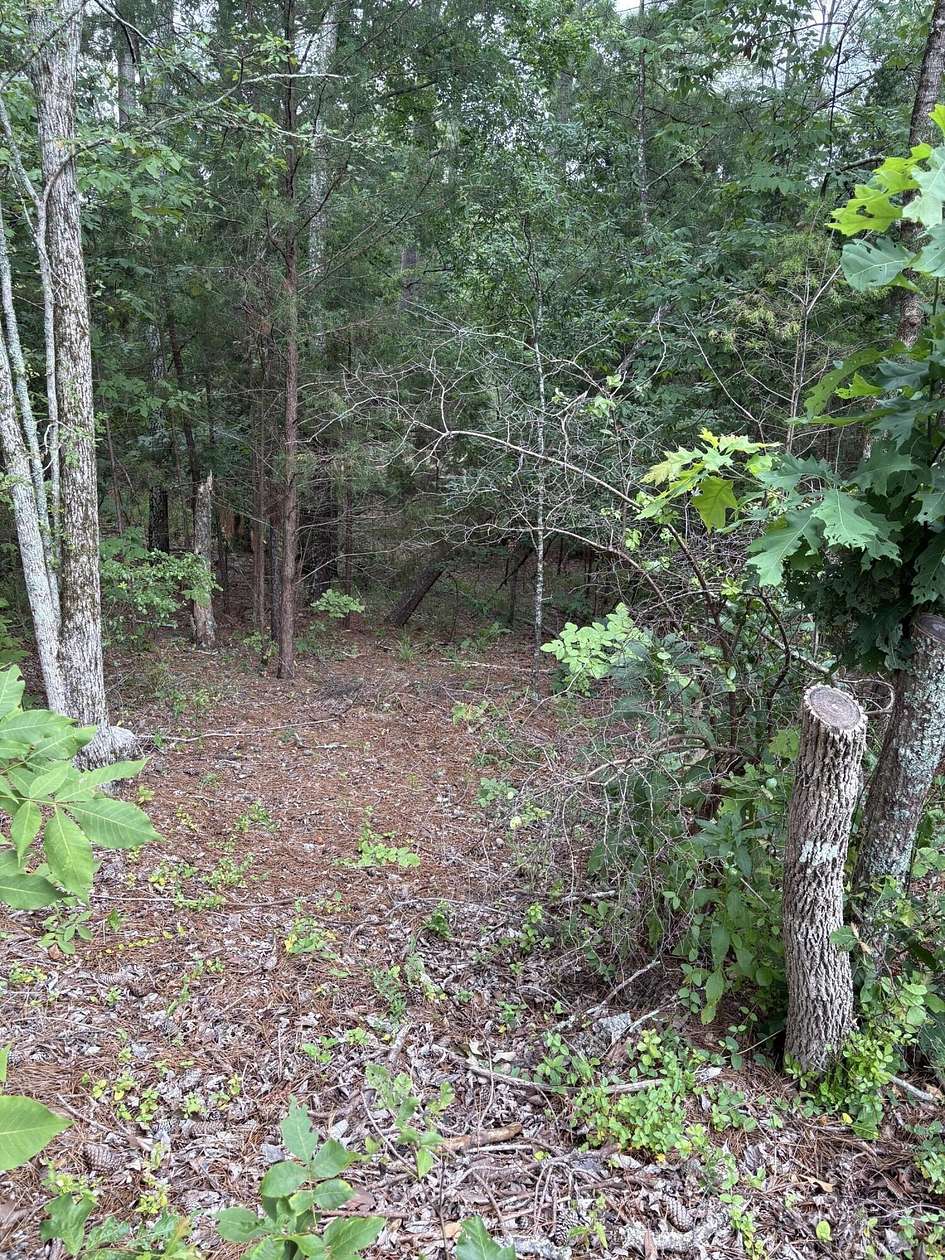 0.39 Acres of Residential Land for Sale in McCormick, South Carolina