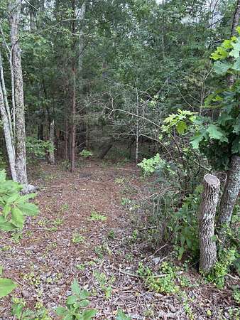 0.39 Acres of Residential Land for Sale in McCormick, South Carolina