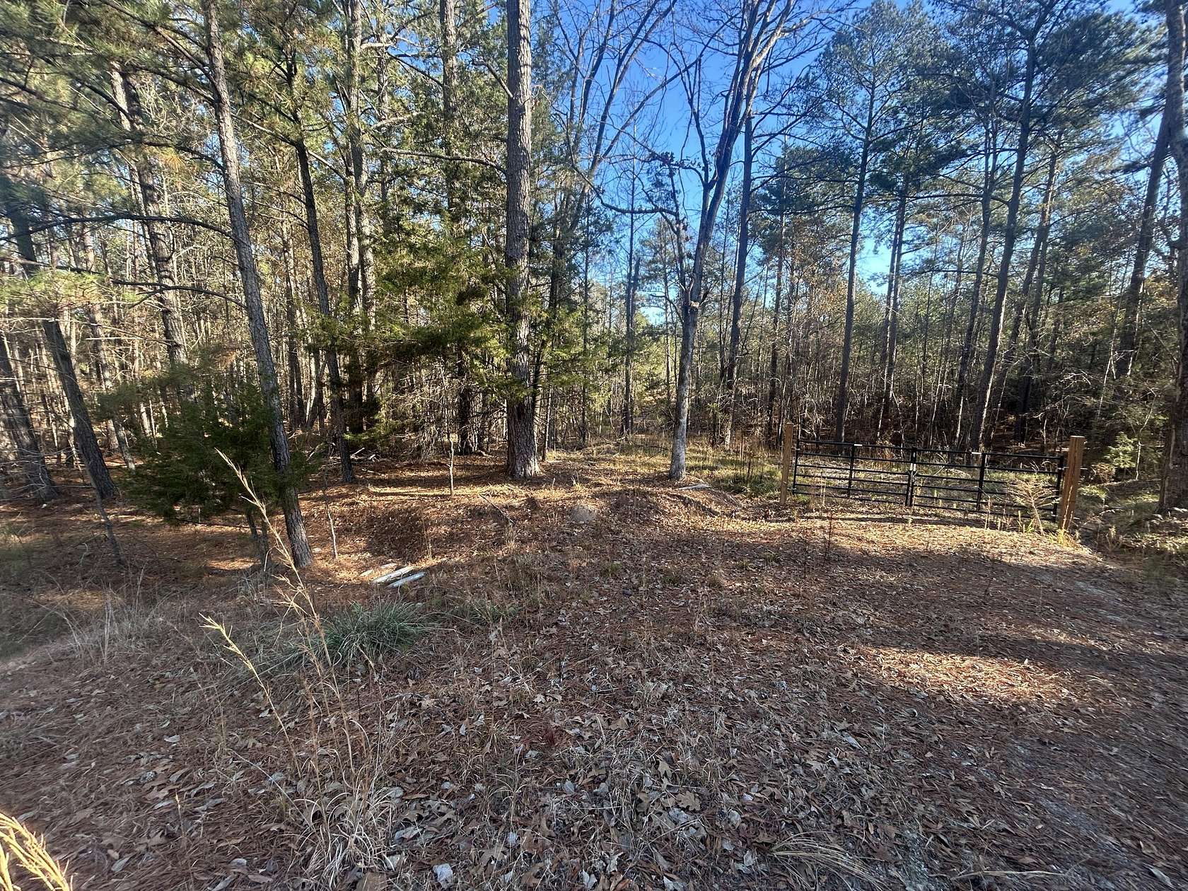 9 Acres of Residential Land for Sale in Lincolnton, Georgia