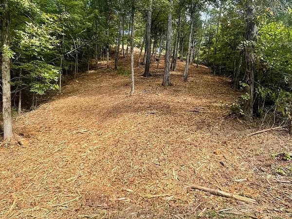 0.52 Acres of Residential Land for Sale in Dandridge, Tennessee