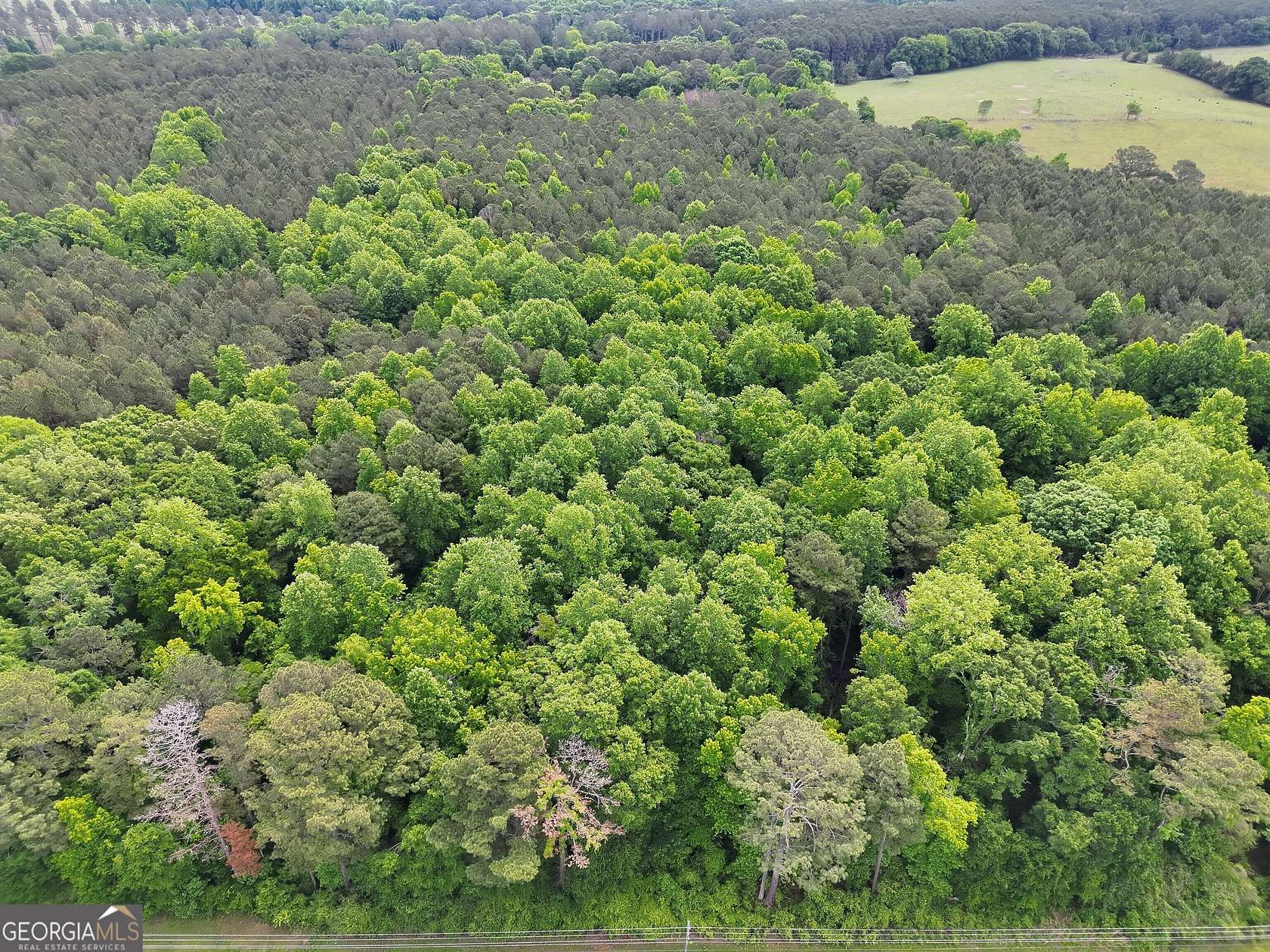 14.3 Acres of Land for Sale in Gay, Georgia