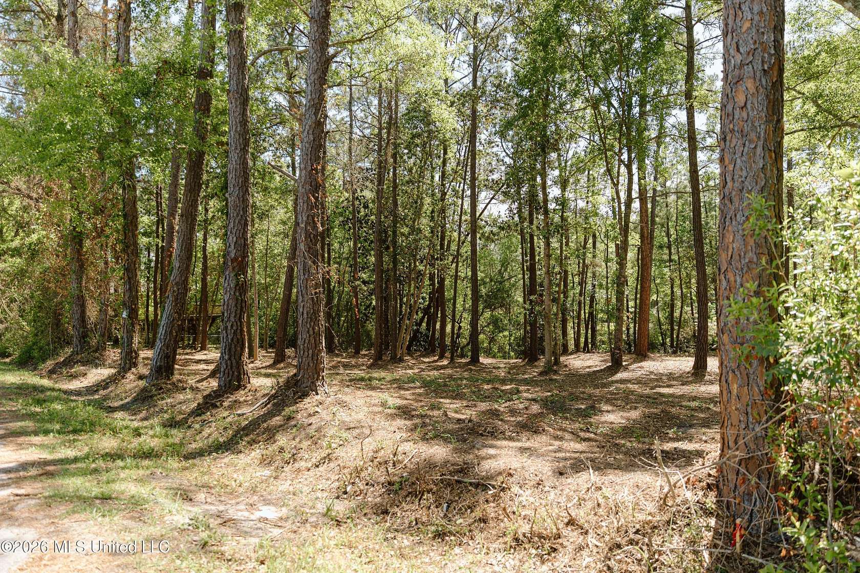 0.67 Acres of Residential Land for Sale in Gautier, Mississippi