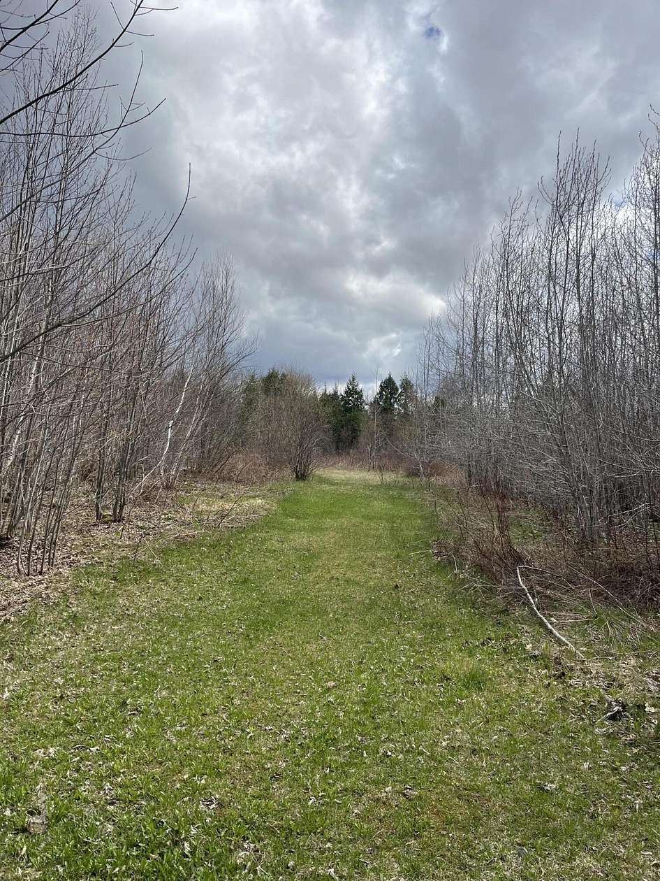 161 Acres of Land for Sale in Orient, Maine