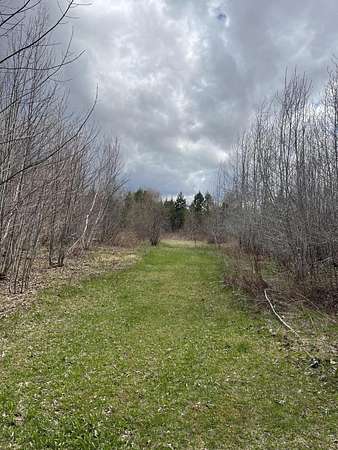 161 Acres of Land for Sale in Orient, Maine
