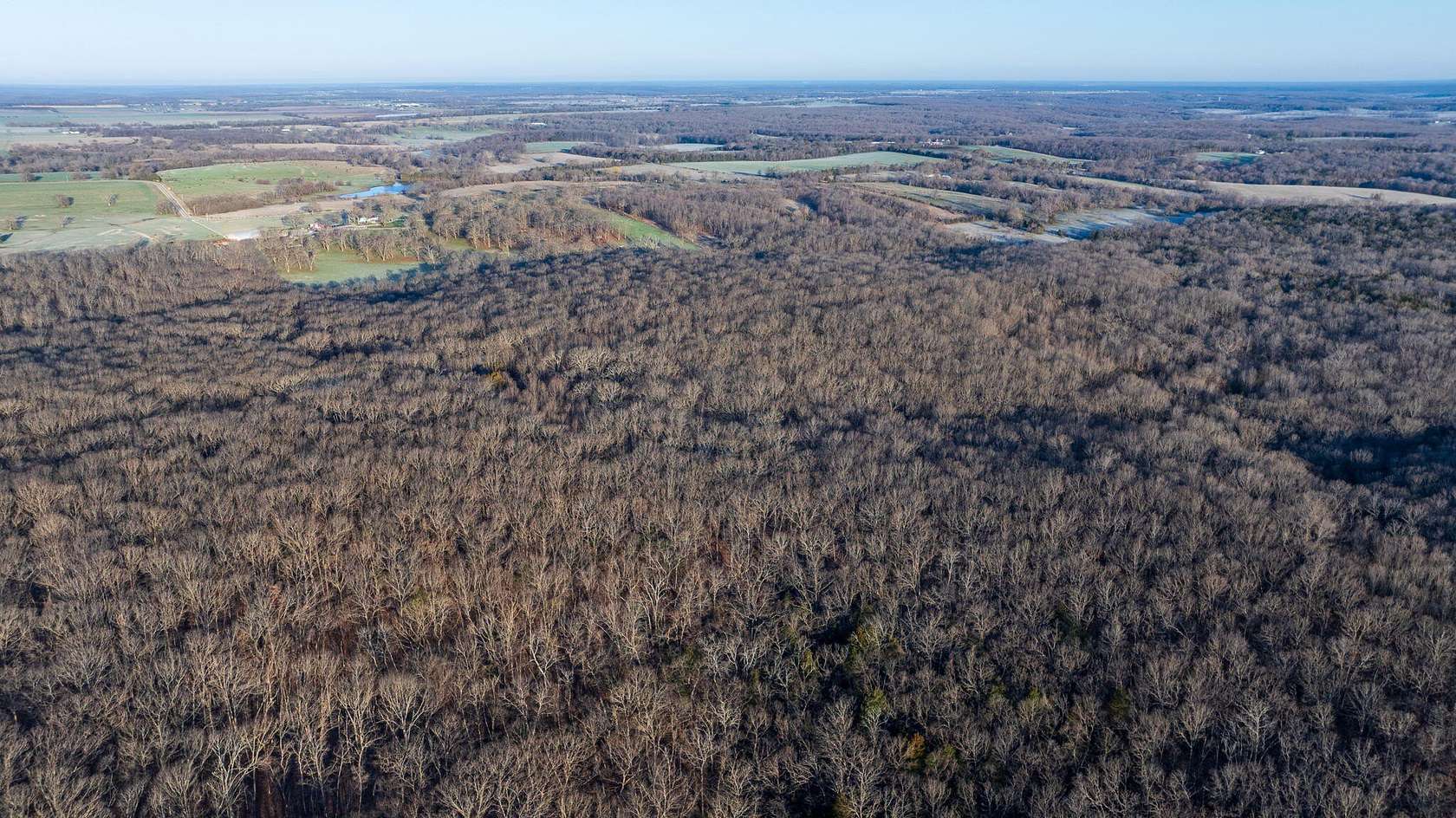 40.3 Acres of Recreational & Residential Land for Sale in Flemington, Missouri
