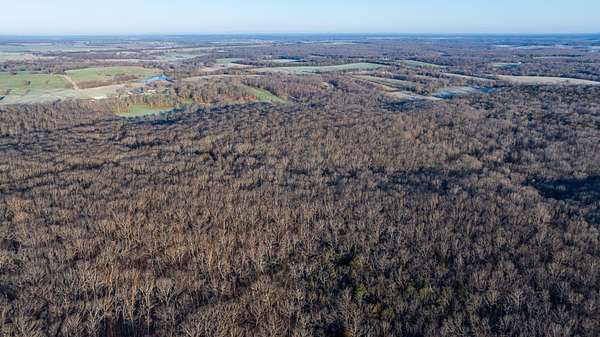 40.3 Acres of Recreational & Residential Land for Sale in Flemington, Missouri