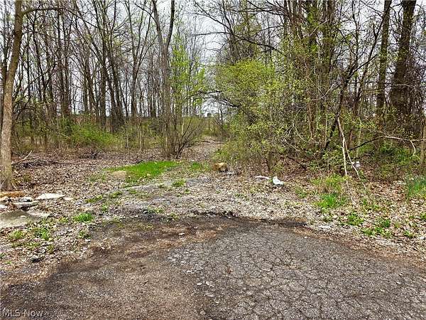 0.74 Acres of Residential Land for Sale in Lorain, Ohio