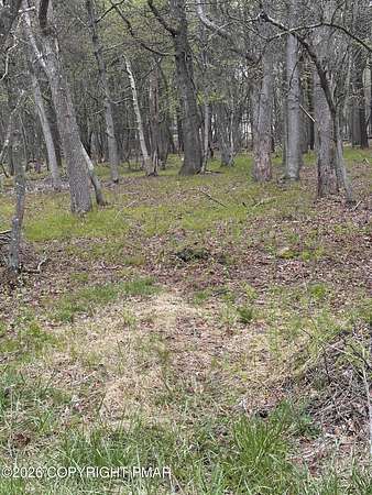 0.46 Acres of Residential Land for Sale in Albrightsville, Pennsylvania