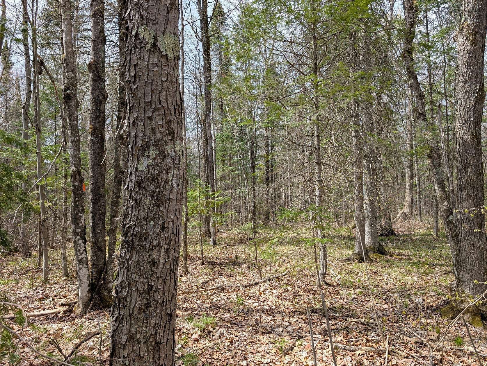 20 Acres of Recreational & Residential Land for Sale in Grand View, Wisconsin