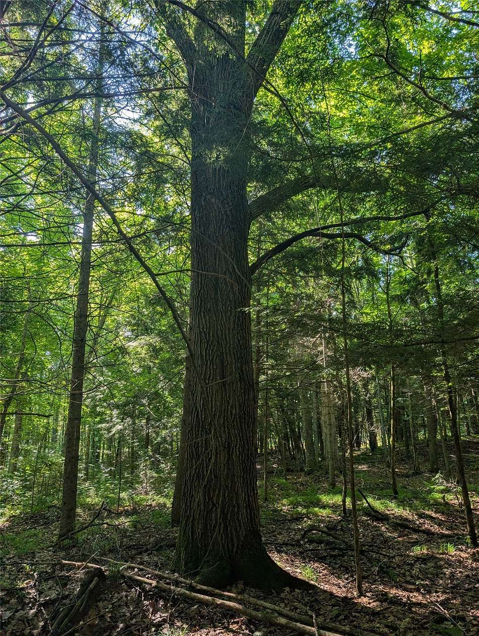 20 Acres of Recreational & Residential Land for Sale in Grand View, Wisconsin