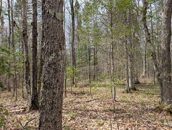 20 Acres of Recreational & Residential Land for Sale in Grand View, Wisconsin