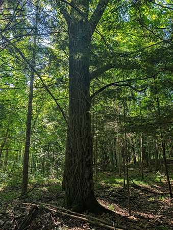 20 Acres of Recreational & Residential Land for Sale in Grand View, Wisconsin
