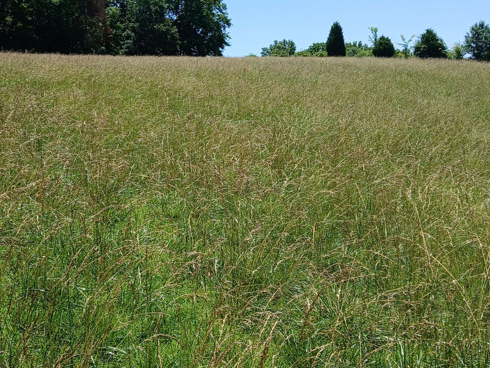 12.4 Acres of Land for Sale in Ashland City, Tennessee