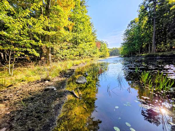 6 Acres of Residential Land for Sale in Coalmont, Tennessee