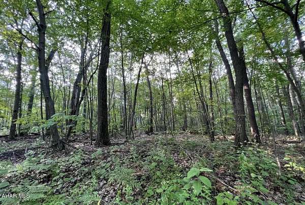 0.26 Acres of Residential Land for Sale in Claysburg, Pennsylvania