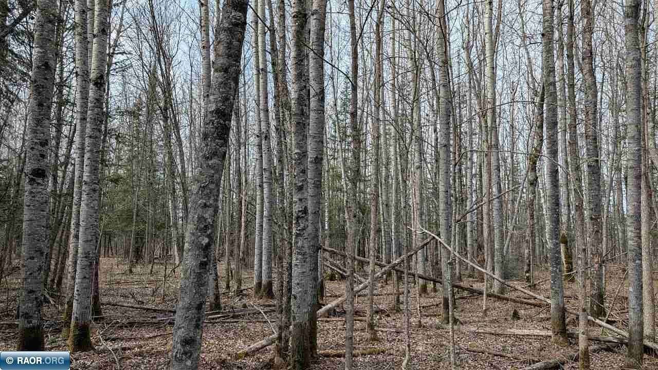 1 Acre of Residential Land for Sale in Cook, Minnesota